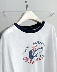 Áo Thun Số 305-D 666 TD Cún Animals