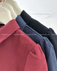 Áo Thun Số 318-B 3571 Polo TN Nhún Vai Trơn