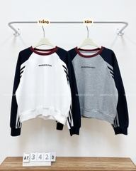 Áo Thun Số 342-D 8316 TD Raglan Sọc
