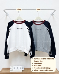 Áo Thun Số 342-D 8316 TD Raglan Sọc