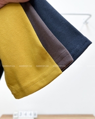 Áo Thun Số 344-D 2501 TD Raglan Gấu 2 Mặt