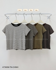 Áo Thun Số 360-M 11002 TN Sọc Ngang