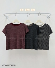 Áo Thun Số 360-M 11002 TN Sọc Ngang