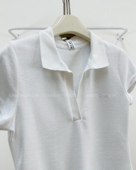 Áo Thun Số 362-B 3050 TN Polo Thêu Chữ
