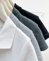 Áo Thun Số 362-B 3050 TN Polo Thêu Chữ