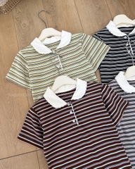 Áo Thun Số 400-D 1829 TN Polo Ren Kẻ