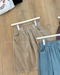 Chân Váy Số 359-D 3221 Ngắn Nhung Tăm