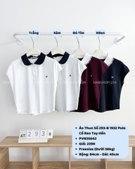 Áo Thun Số 293-B 1932 Polo Cổ Ren Tay Hến