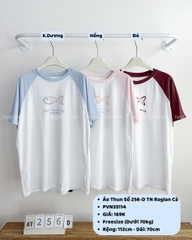 Áo Thun Số 256-D 6022 TN Raglan Cá