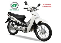 WAVE 50CC