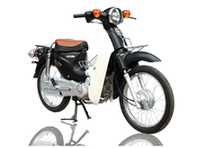 CUB 50CC