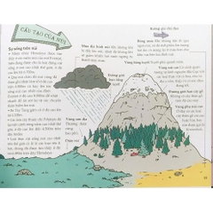 Bộ Cool Series - Thiên Nhiên Kỳ Thú 89k- Nhã Nam