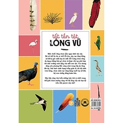 Tất Tần Tật Về Lông Vũ -145k Huy Hoàng