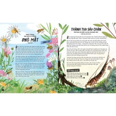 Nhập Vai Tiến Hoá Của Muôn Loài: Tuyệt Chủng Hay Sống Sót? 135k - Kim Đồng