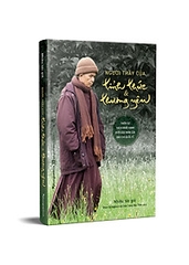 Người thầy của tỉnh thức và thương yêu 145k - Phương Nam