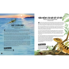 Nhập Vai Tiến Hoá Của Muôn Loài: Tuyệt Chủng Hay Sống Sót? 135k - Kim Đồng