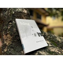 Băng - Anna Kavan 180k - Tao Đàn