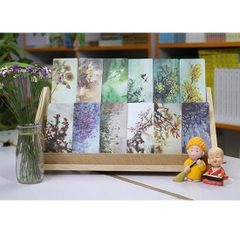 TedBooks - Nhìn Mặt Mà Bắt Hình Dong - Thái Hà 75000