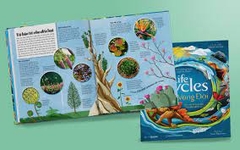 Vòng đời - Life Cycles -350000đ -ZENBOOKS -Khoa học