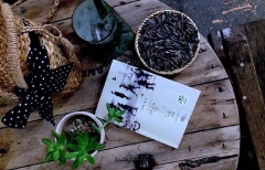 Bước chậm lại giữa thế gian vội vã (TB 100.000) - Nhã Nam