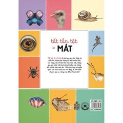 Tất Tần Tật Về Mắt - All About The Eye - Huy Hoàng Books 145k