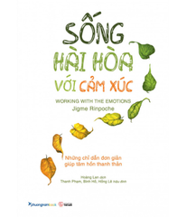 Sống Hài Hòa Với Cảm Xúc - Những Chỉ Dẫn Đơn Giản Giúp Tâm Hồn Thanh Thản (TBL1) - PhuongNam - 99000đ