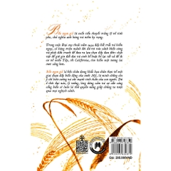 Bốn Ngọn Gió - The Four Winds - Huy Hoàng 285k