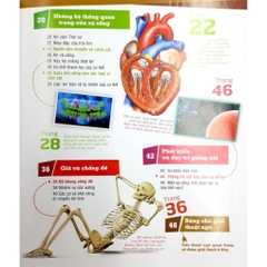 Thế Nào Và Tại Sao - Cơ Thể Người Tuyệt Tác Của Tạo Hóa - 95k Tân Việt