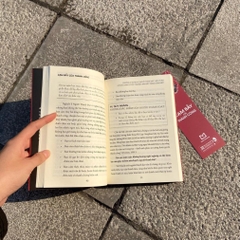 Cạm Bẫy Của Thành Công - Minh Long 110k