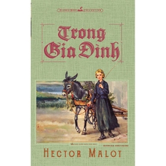 Trong Gia Đình (Minh Long) 75k