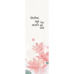 Dưỡng Khí Huyết Tạo Khí Chất- AZ Việt Nam 92k CK42