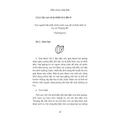 Thần Số Học Chữa Lành - Timebooks 105k