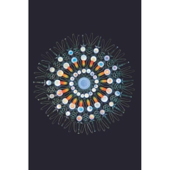 Vũ trụ - Những thế giới khả hữu (Cosmos: Possible worlds) (Bìa cứng) (Ann Druyan) - Nhã Nam