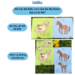 Sách Lật Mở Khám Phá Điều Kì Diệu Sau Những Miếng Ghép (Tân Việt)