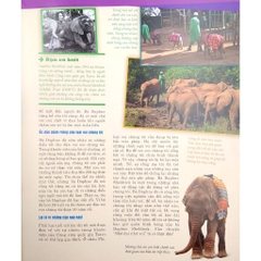 Thế Nào Và Tại Sao - Động Vật Hoang Dã Cần Được Bảo Vệ Trước Nguy Cơ Tuyệt Chủng - Tân Việt 95k