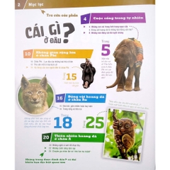 Thế Nào Và Tại Sao - Động Vật Hoang Dã Cần Được Bảo Vệ Trước Nguy Cơ Tuyệt Chủng - Tân Việt 95k