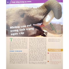 Thế Nào Và Tại Sao - Động Vật Hoang Dã Cần Được Bảo Vệ Trước Nguy Cơ Tuyệt Chủng - Tân Việt 95k