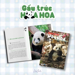 Gấu trúc Hoa Hoa - AMAK
