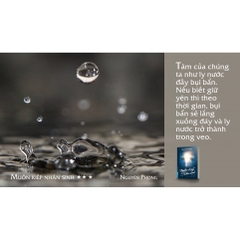 Muôn Kiếp Nhân Sinh 3 (Bìa Cứng) - First News 288k