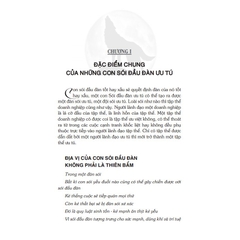 Wolf team - Trí tuệ loài Sói - MT - 150k