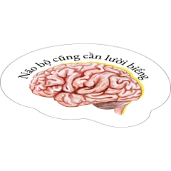 Não Bộ Cũng Cần “Lười Biếng” - AZVietNam 188k