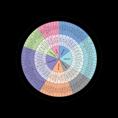 Sức Mạnh Của EQ - 99k AZVietNam