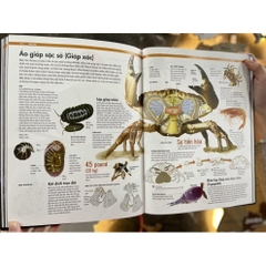 Trái Đất ( Our Earth ) Sự vận hành tự nhiên - Bìa Cứng, Hình Ảnh Độc Đáo, In Màu - ACB 495k