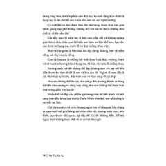 Mẹ Việt dạy con bước cùng toàn cầu -  Hồ Thị Hải Âu - Tân Việt 350k