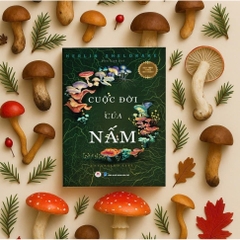 Cuộc đời của Nấm Entangled Life, Thế giới Nấm - HH 168K