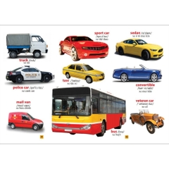 Từ Điển Bằng Tranh - MT