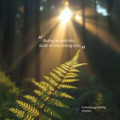 Nhẹ Nhàng Mà Sống - First News 148k