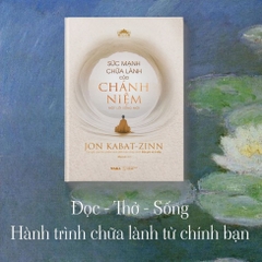 Sức mạnh chữa lành của chánh niệm - Jon Kabat-Zinn 320k - Waka