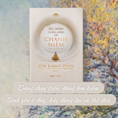 Sức mạnh chữa lành của chánh niệm - Jon Kabat-Zinn 320k - Waka