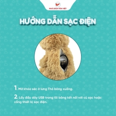 Thỏ Bông Kê Chuyện - Món quà trí tuệ cho bé 695k - Tân Việt